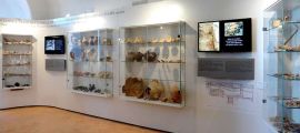 Museo del Castello di Santa Severa