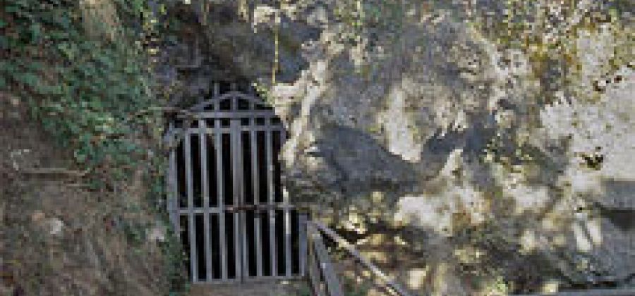 Grotta Guattari