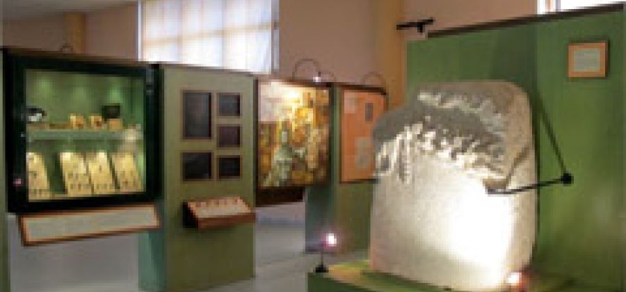 Museo Naturalistico Archeologico "M. Locati"