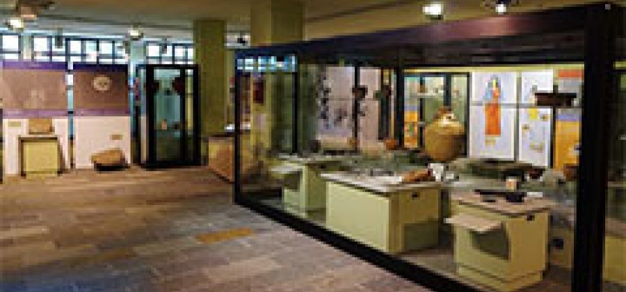 Museo di Archeologia e Paleontologia "C. Conti"