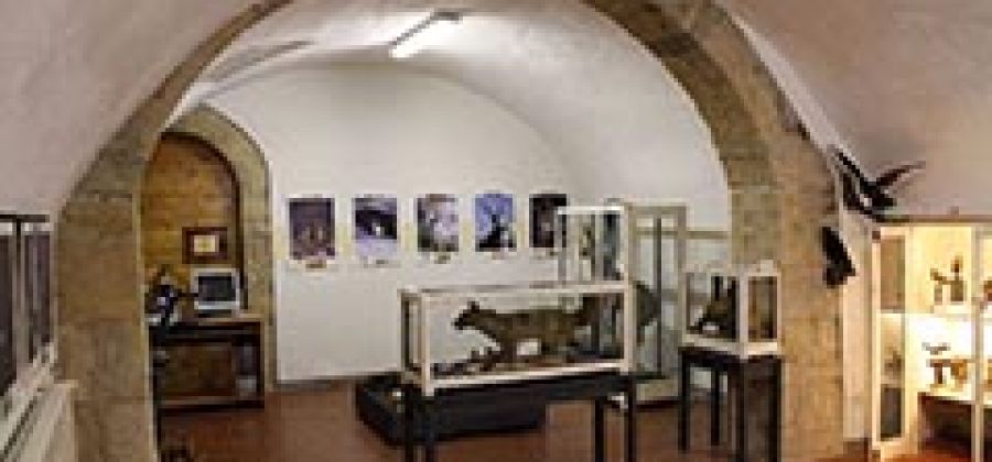 Museo Naturalistico Valnegra