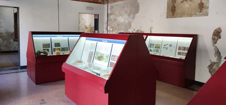 Museo Archeologico "Aquaria"