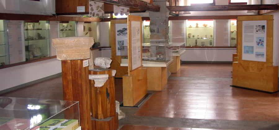 Museo Archeologico Nazionale di Cosa