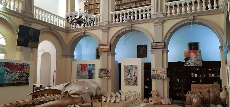 Museo Civico "E. Barba"