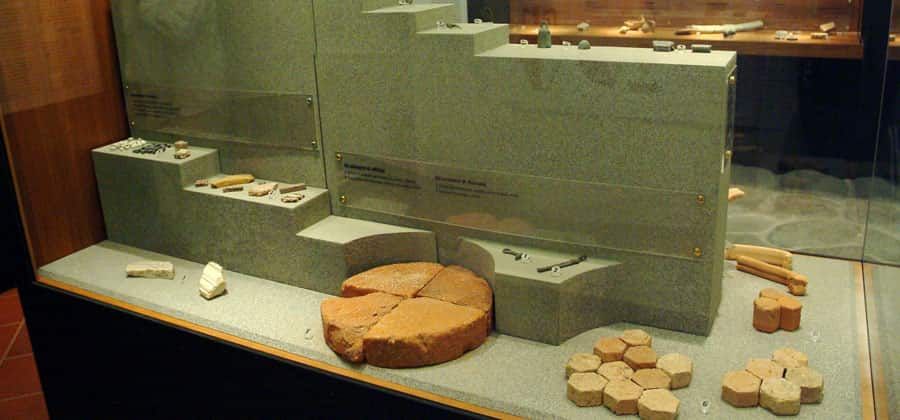 Museo Archeologico e della Via Flaminia