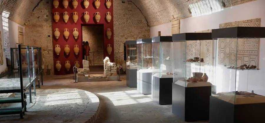 Museo Archeologico "T. Aldini"