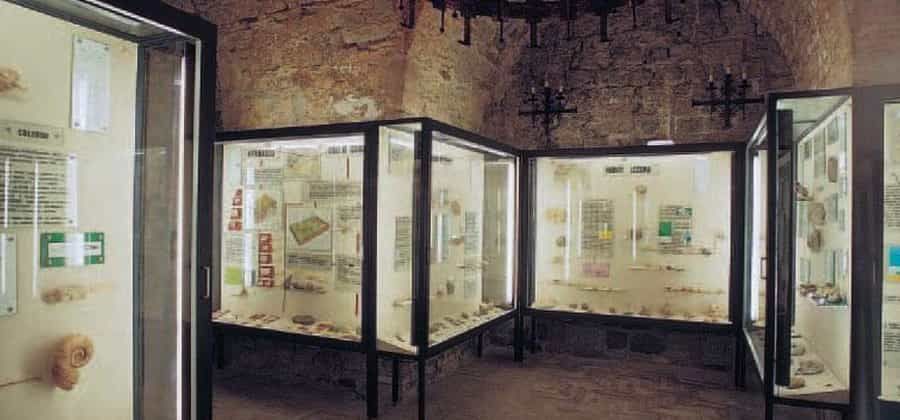 Museo Paleontologico di Monfalcone