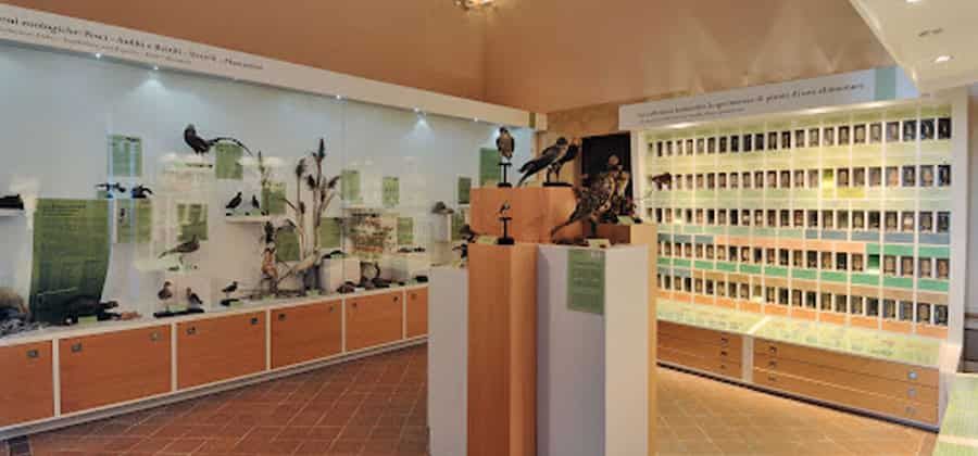 Museo di Storia Naturale e del Territorio "A. Verri"