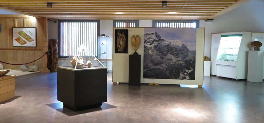 Museo Paleontologico "Rinaldo Zardini"