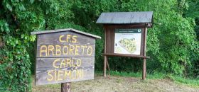 Arboreto Storico "Carlo Siemoni"