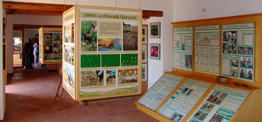 Museo Naturalistico della Riserva Naturale Orientata dello Zingaro