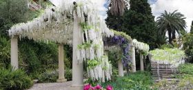 Giardini di Villa della Pergola