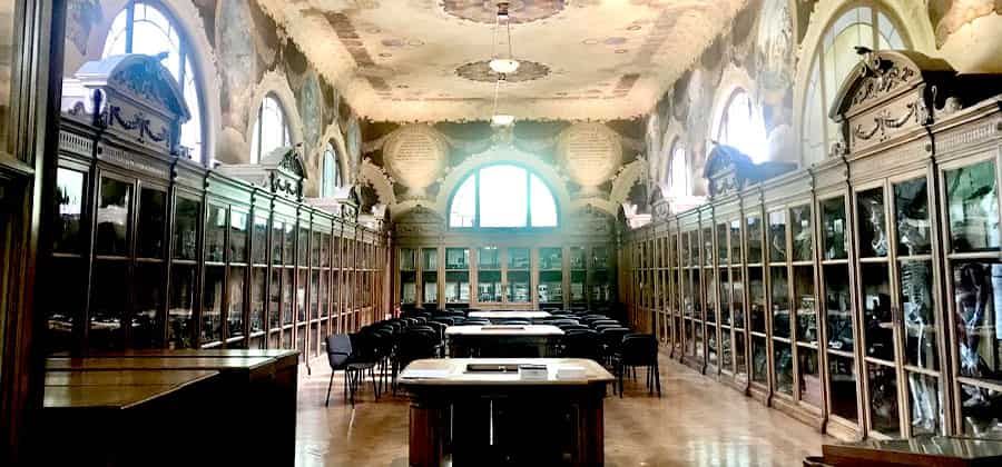 Museo delle scienze Casartelli