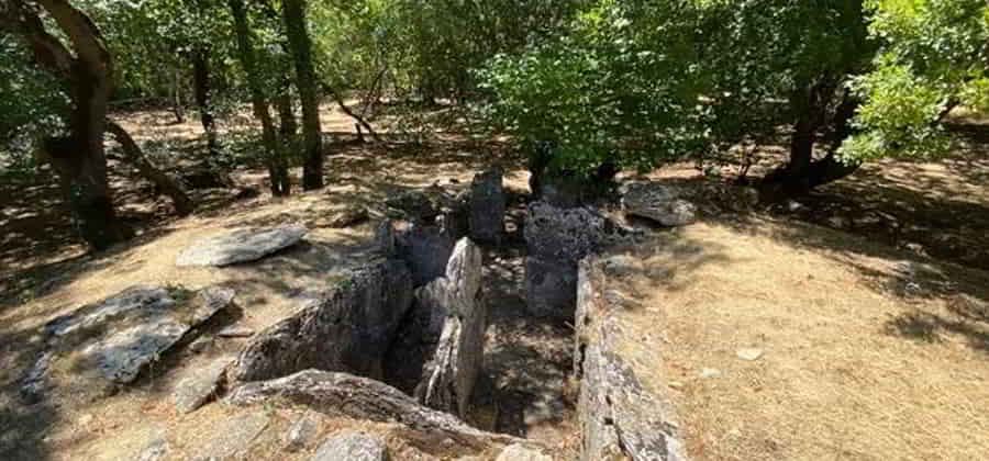 Necropoli Etrusca del Puntone