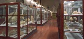 Museo di Storiografia Naturalistica