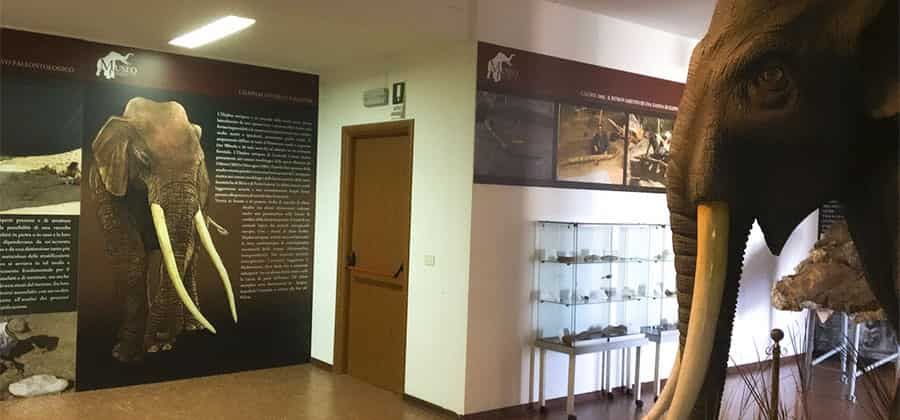 Museo Naturalistico e Paleontologico del Pollino