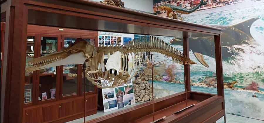 Museo del Mare di Manfredonia