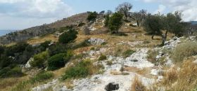 Necropoli del Monte Saraceno