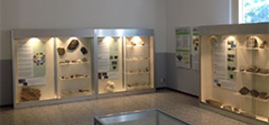 Museo Insubrico di Storia Naturale