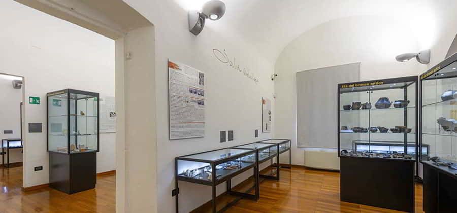 Museo Civico Archeologico "G. Bellini"