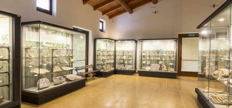 Museo Geopaleontologico di Camposilvano
