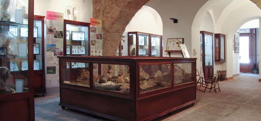 Museo Naturalistico-Ambientale "Diodoro Siculo"