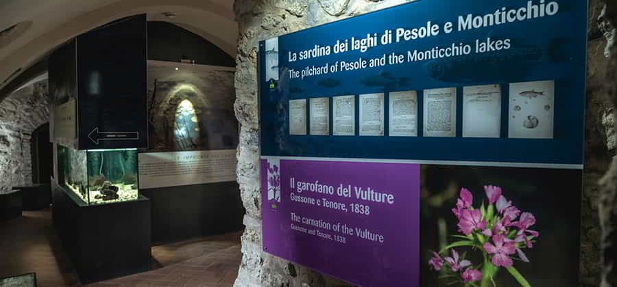 Museo di Storia Naturale del Vulture