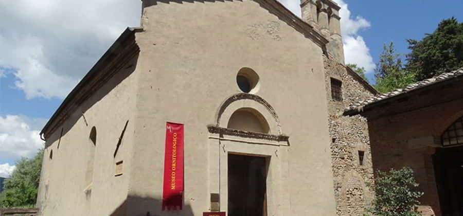 Museo Ornitologico di San Gimignano