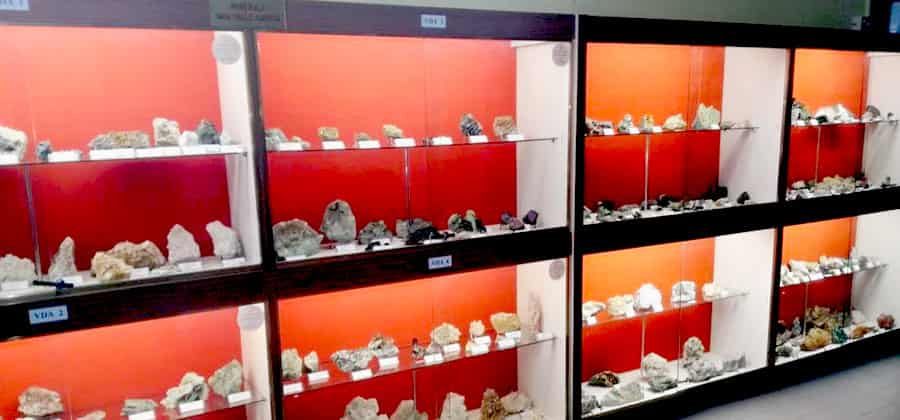 Museo di Mineralogia e Paleontologia del Cenacolo "I. Mus"