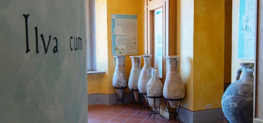 Museo Civico Archeologico di Marciana