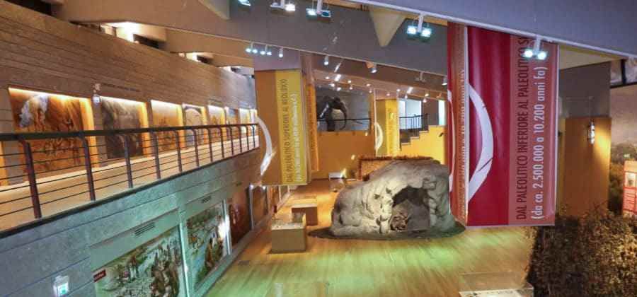 Museo Nazionale Paleolitico "La Pineta"