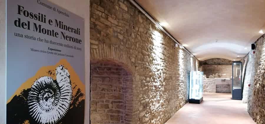 Museo dei fossili minerali del Monte Nerone