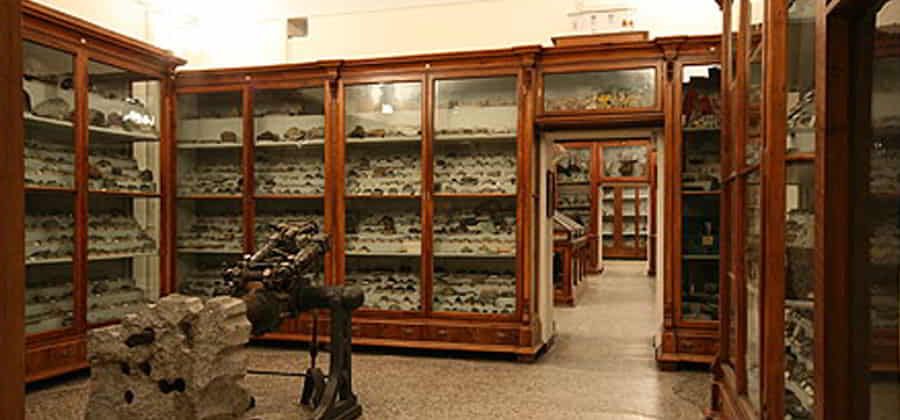 Museo di Scienze Naturali "M. Rosmini"