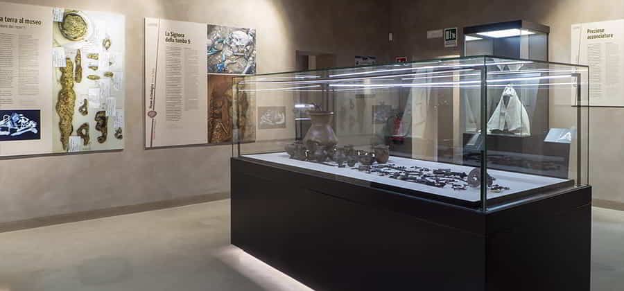 Museo Archeologico Torre di Palme