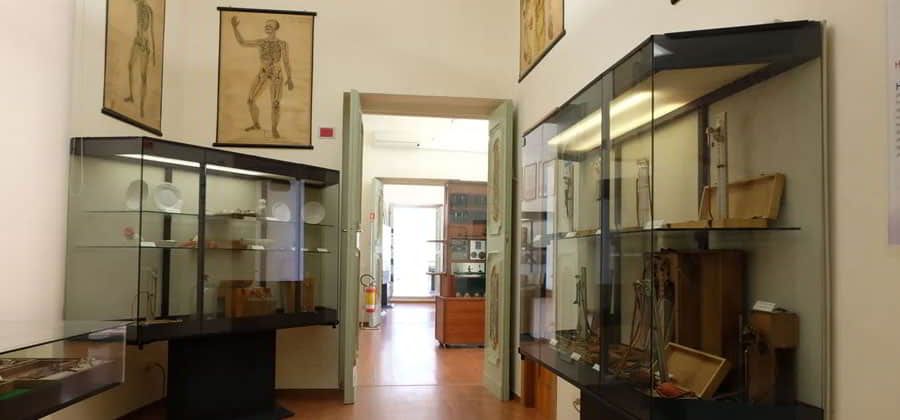 Museo della Medicina "Roberto Papi"