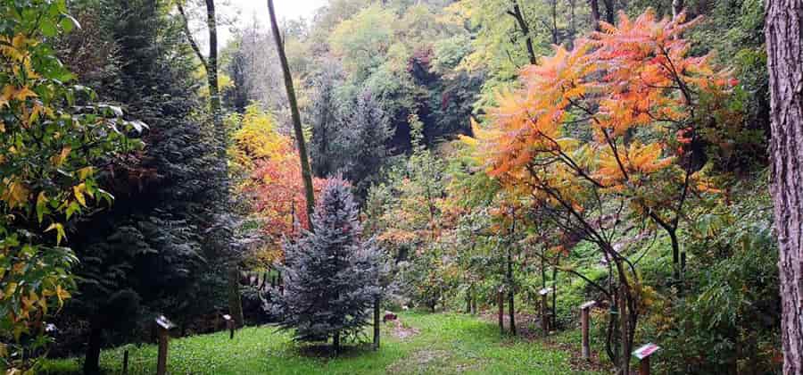 Orto Botanico di Ome