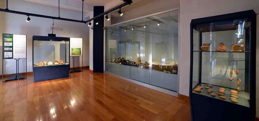 Museo Archeologico Provinciale di Potenza