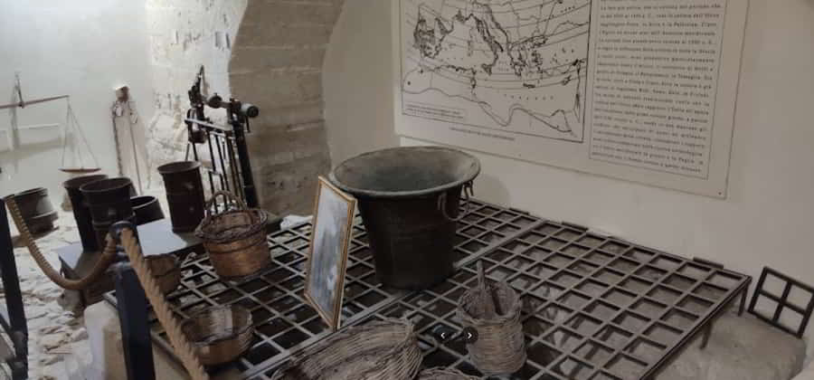 Museo Storico e Archeologico della civiltà dell’Olio e del Vino