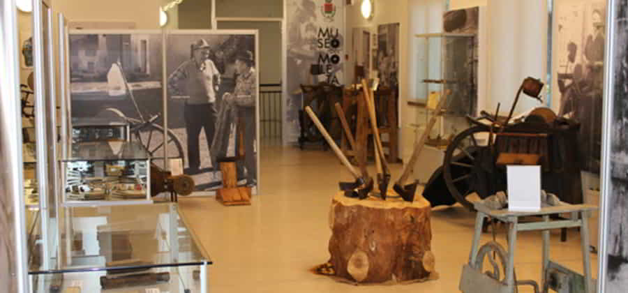 Museo del moleta