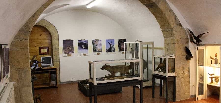 Museo Naturalistico Valnegra