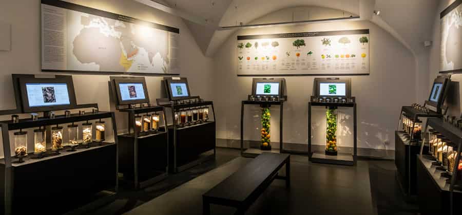 Museo Villoresi