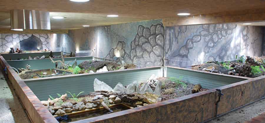 Aquae Mundi