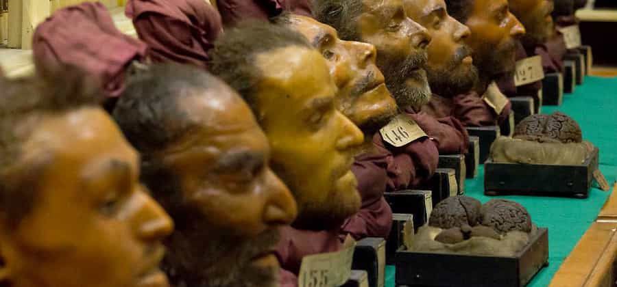 Museo di Biomedicina