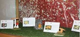 Museo Micologico e delle Scienze Naturali