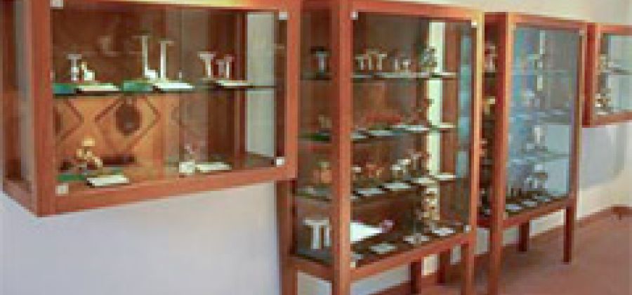 Museo del Fungo di San Sisto