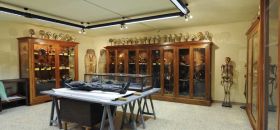 Museo di Anatomia Umana “Filippo Civinini”
