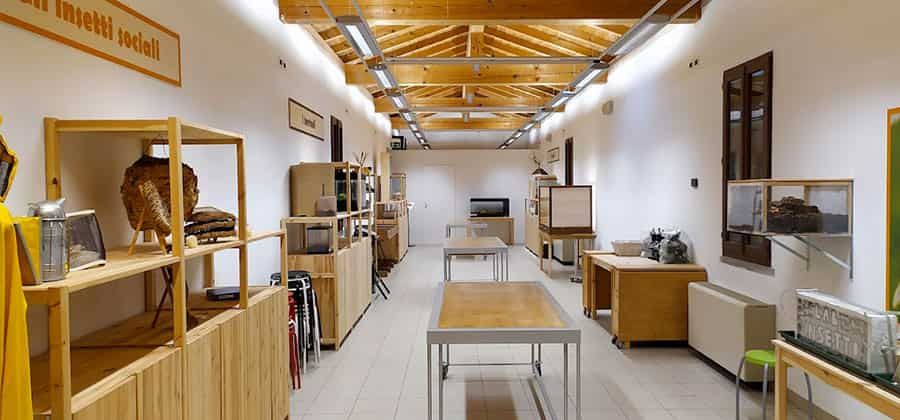 Laboratorio dell'insetto