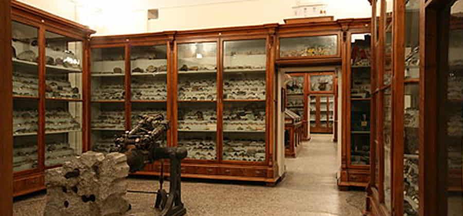Museo di Scienze Naturali "Mellerio Rosmini"
