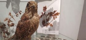 Museo della Ganzaria