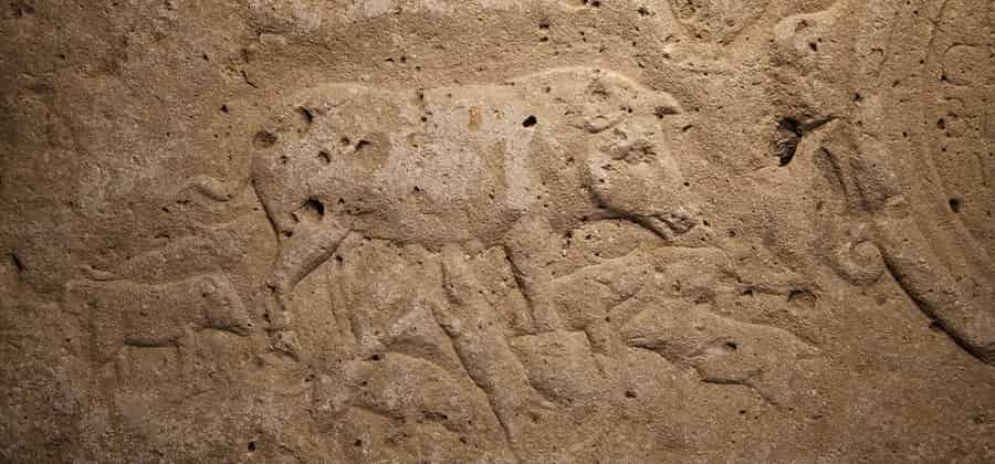 Museo Civico di Troia